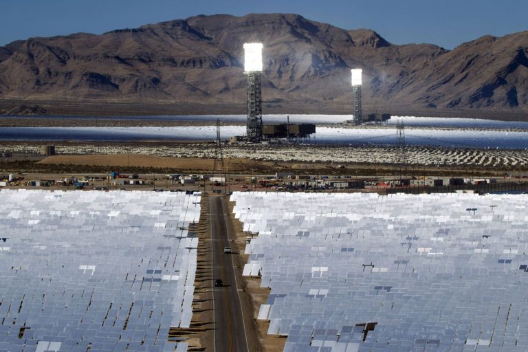 Kolejne „zielone ideologiczne oszustwo” – elektrownie słoneczne to pułapki na ptaki