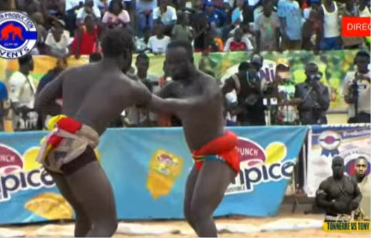 Nowe z psychiatryka na świeżym powietrzu UE: 500.000 euro na wrestling w Gambii przeciwko zmianom klimatycznym!