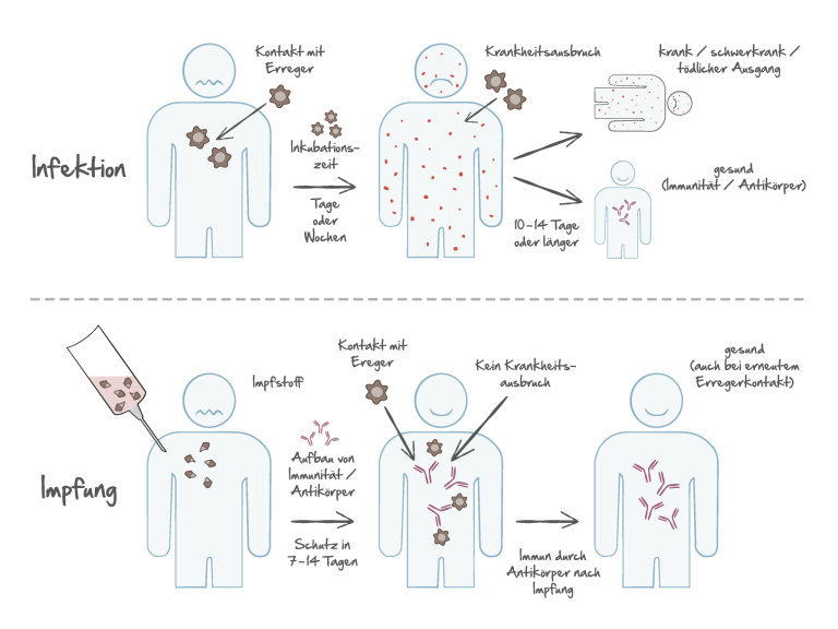 O składnikach szczepionki nazywanej „Big Pharma”