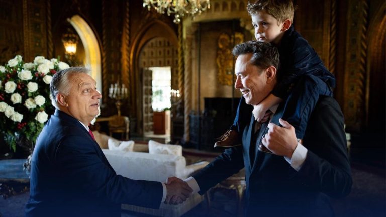 Musk chwali krytykę Orbána wobec polityki migracyjnej: „Wymiana lokalnych wyborców to plan lewicy”