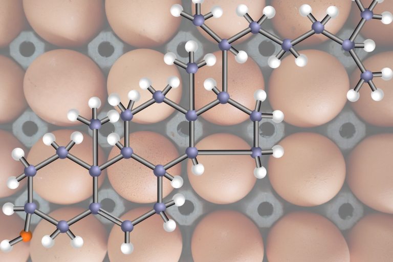 „Zły cholesterol“ wspiera układ odpornościowy w walce z rakiem!