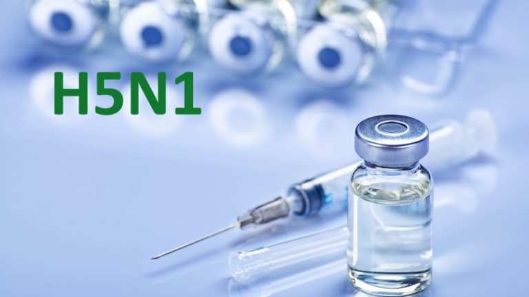 Moderna prowadzi testy szczepionki mRNA przeciwko wirusowi ptasiej grypy na 4000 osobach.